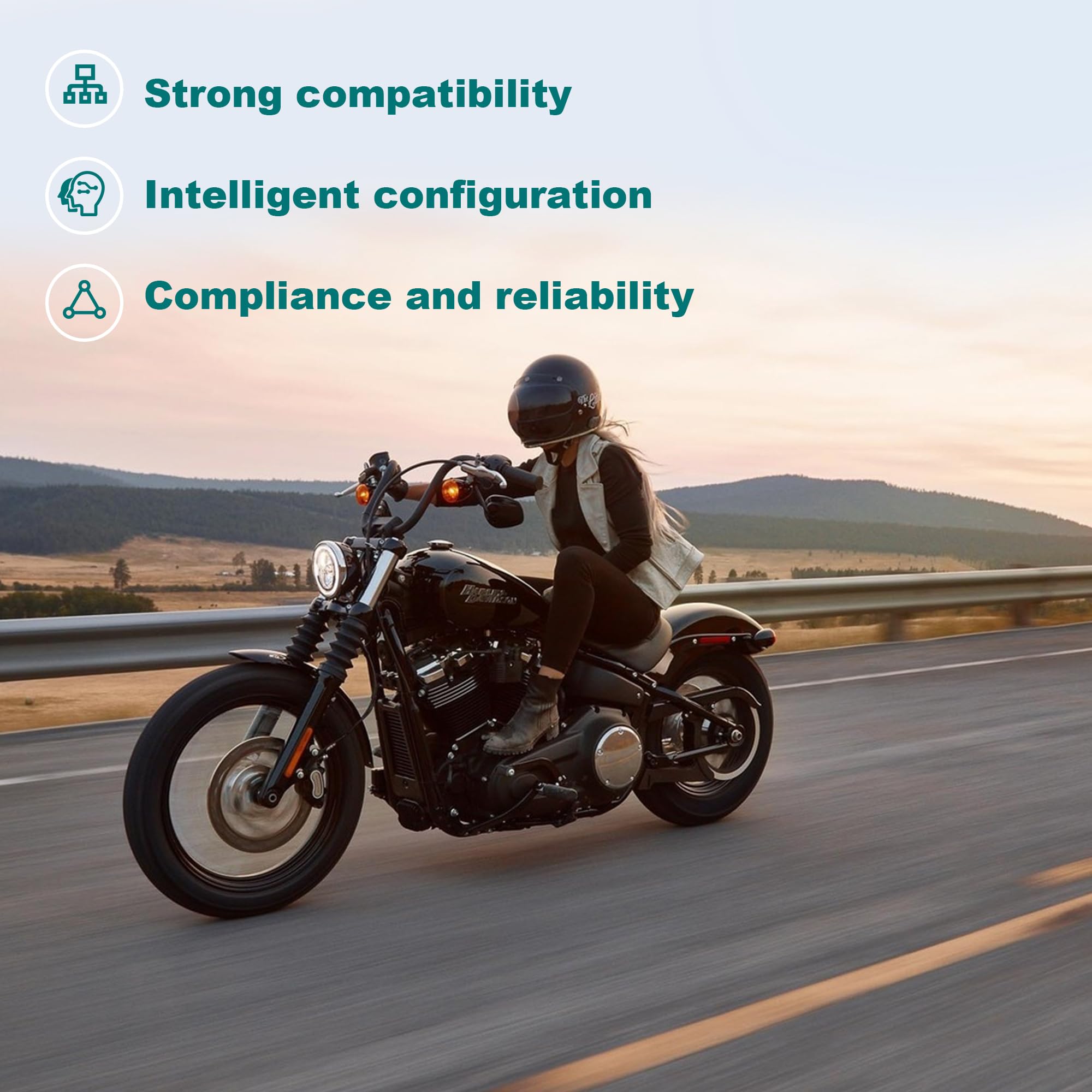 MoKitDora Load Equalizer Resistor Plug and Play Stabilizer Controller for Harley 1996-2013 Touring Electra Road Street Glide King Softail Dyna Sportster Fixes LED Turn Signlal Lights Blinker Issues