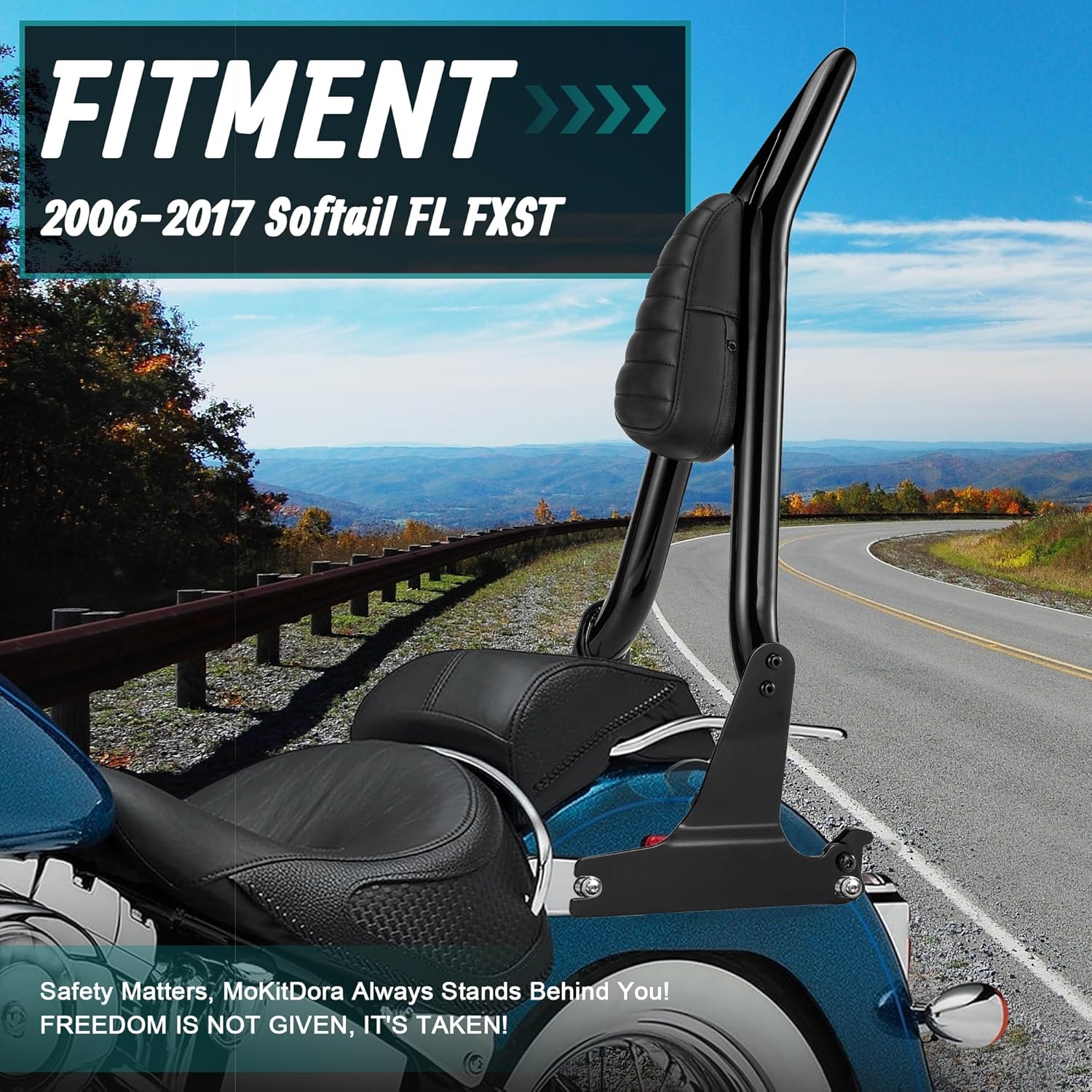 MoKitDora Sissy Bar Detachable Passenger Backrest for Harley Softail 2006-2017 Fat Boy Cross Bones Night Train FL FXST, Black