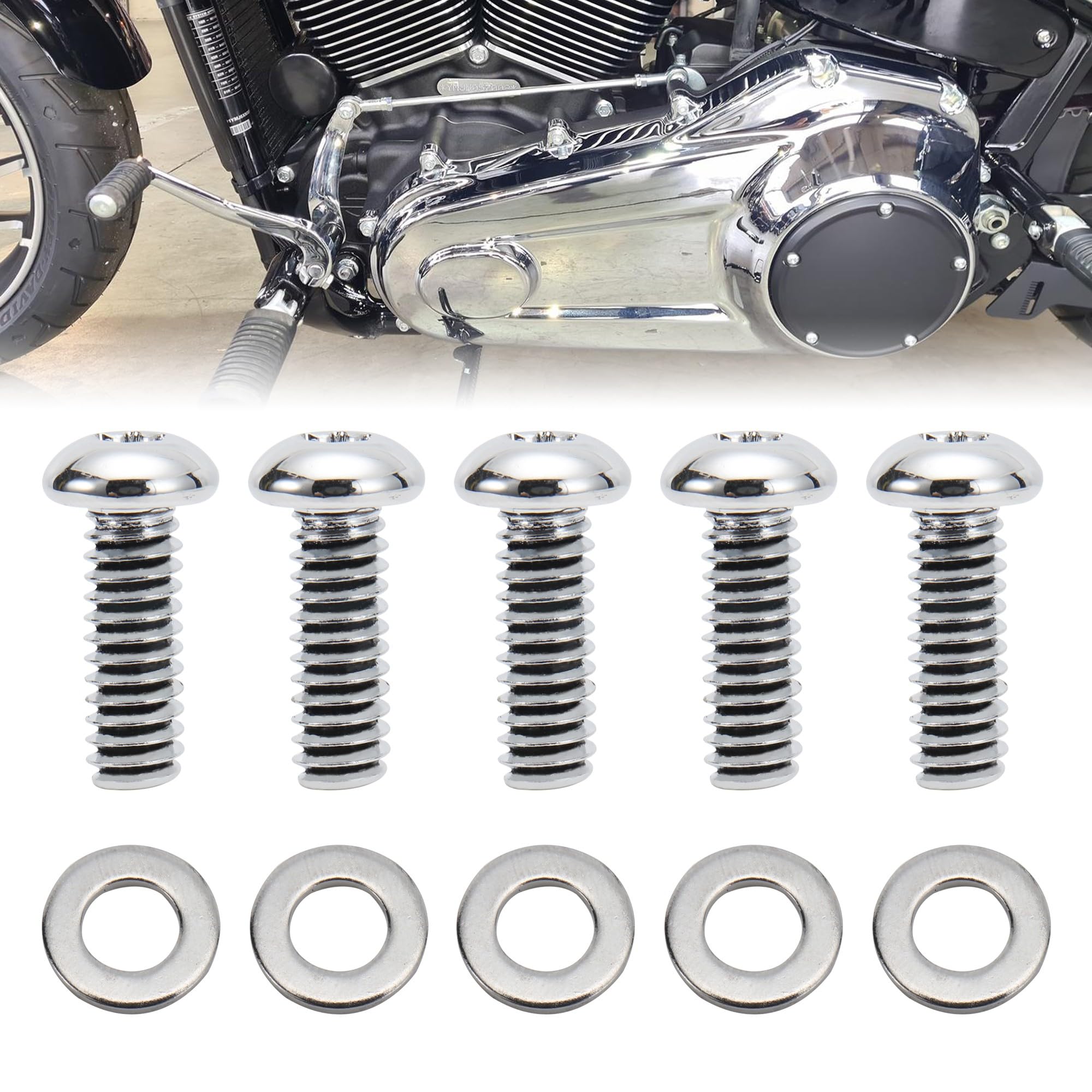 TIGERSAGTE Derby Cover Hardware Bolt Kit for 2008-Up Touring and Trike & 2006-2017 Dyna, 2008-2018 Softail (Except Sport Glide) Models