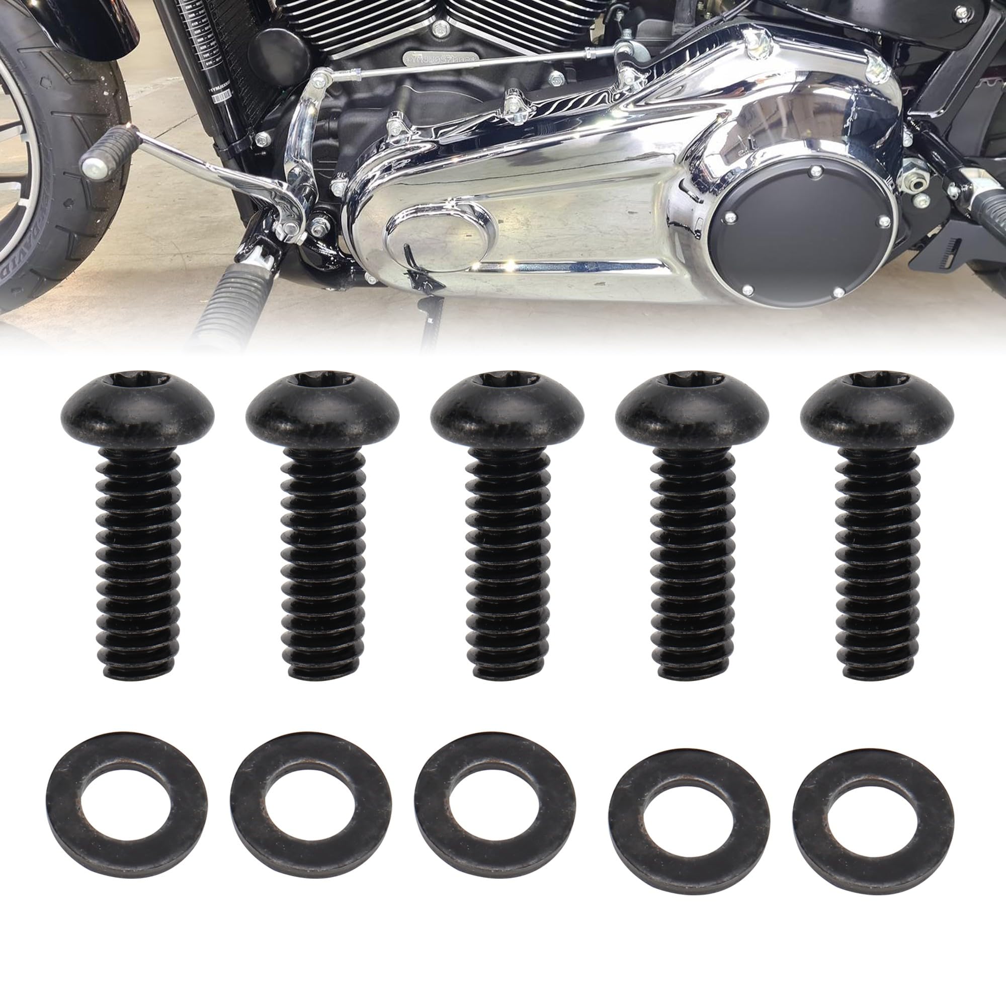 TIGERSAGTE Derby Cover Hardware Bolt Kit for 2008-Up Touring and Trike & 2006-2017 Dyna, 2008-2018 Softail (Except Sport Glide) Models