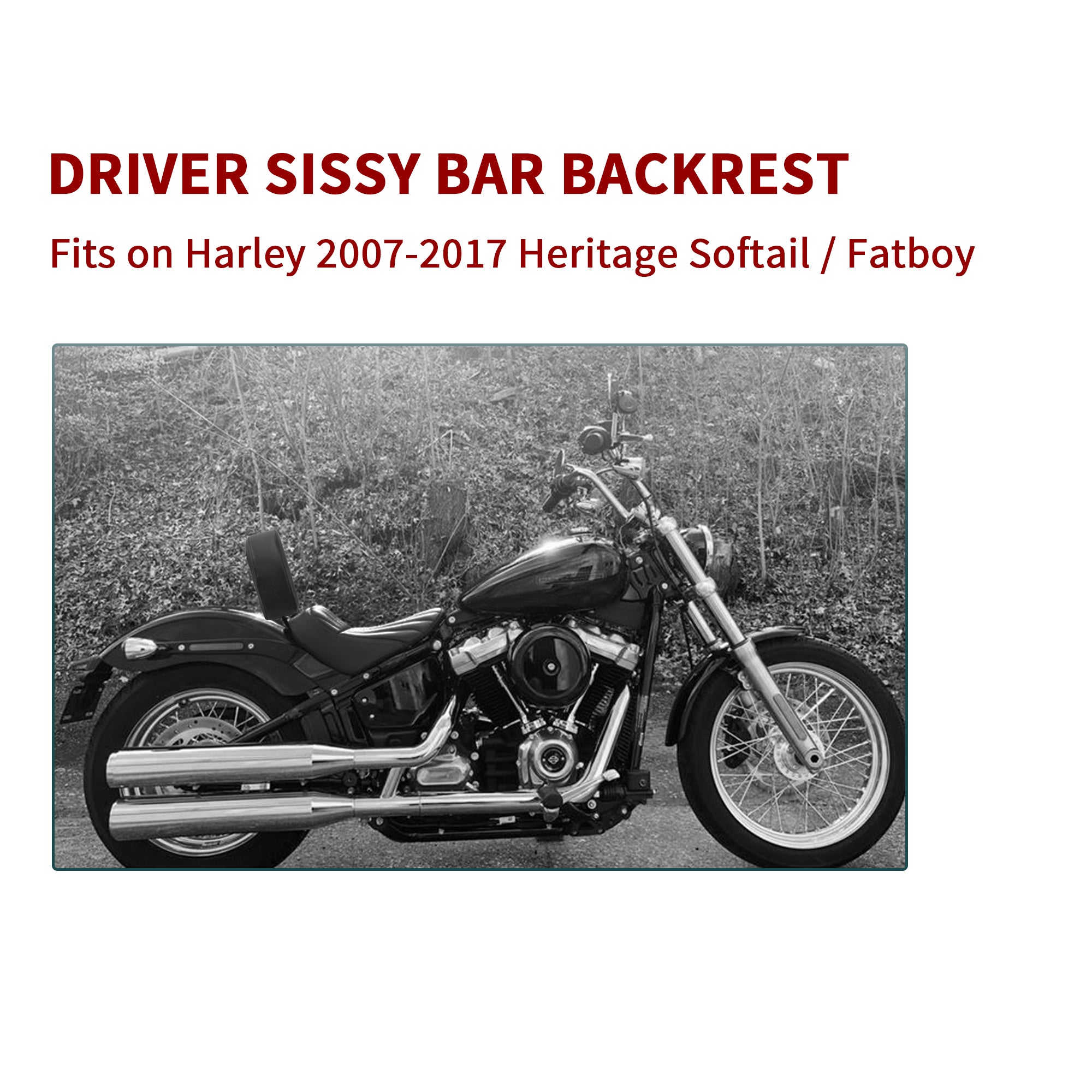 Detachable Heritage Driver Backrest Plug in & Go Rider Back Rest Passenger PU Pad